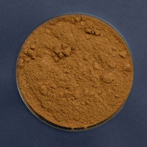 Garam Masala Gewürzmischung